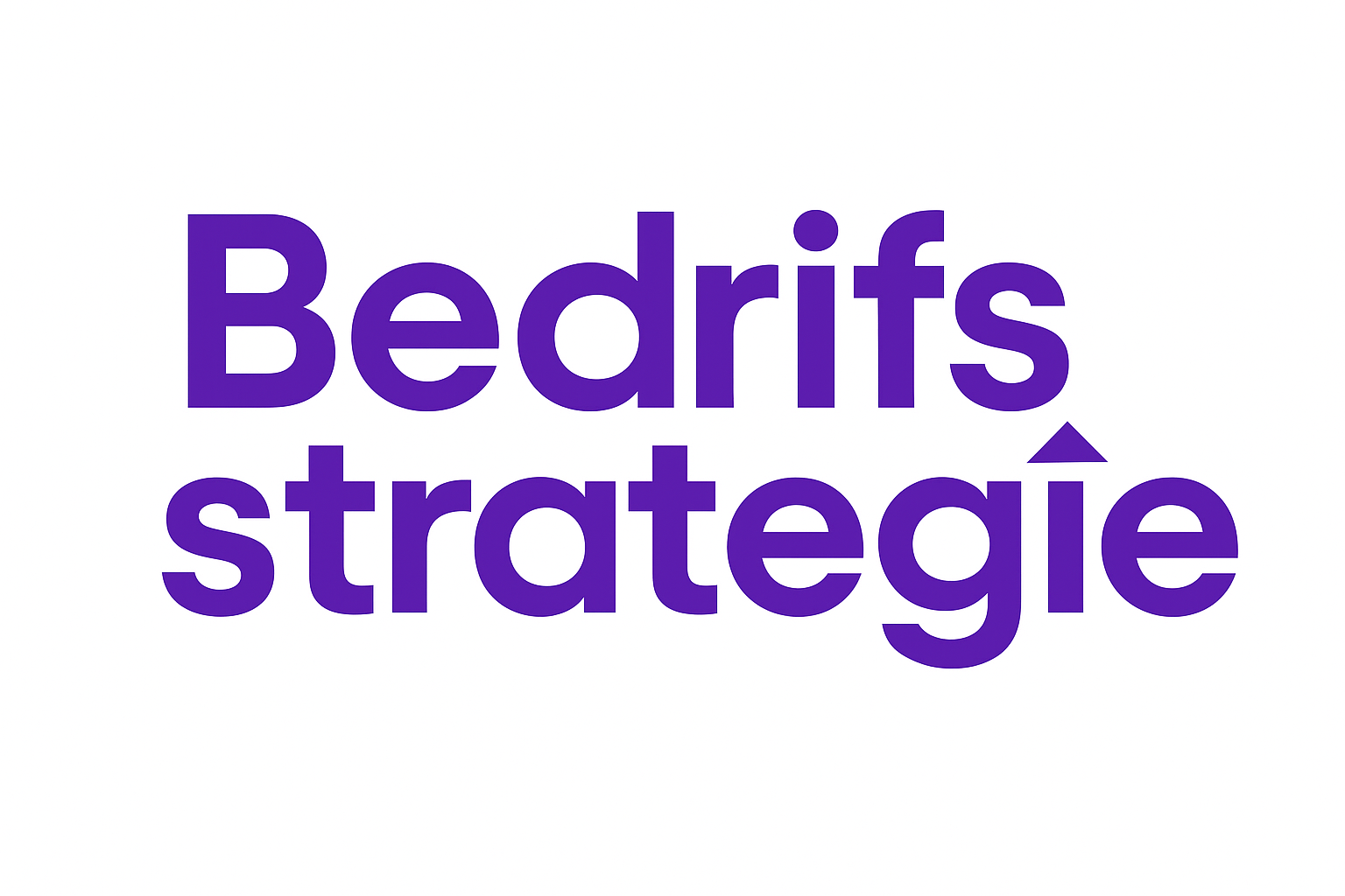 Bedrijfs Strategie
